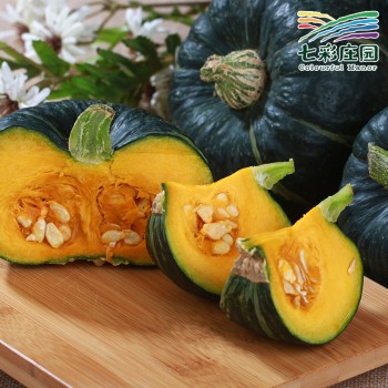 贝贝南瓜5斤装（扶贫产品）